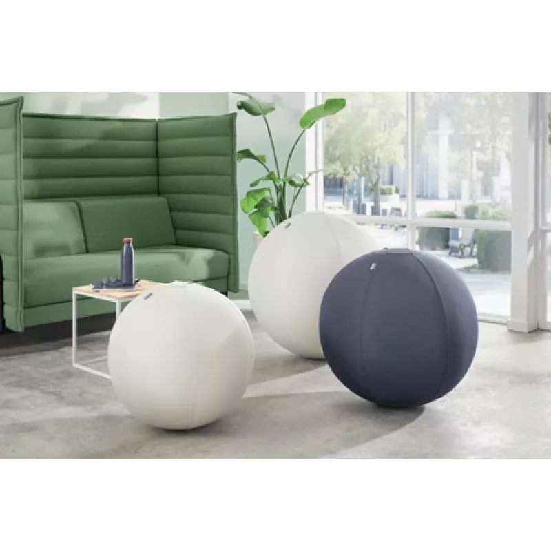 Leitz Ergo balón de asiento activo con sistema antirrodadura 65 cm, gris, talla única, 150 kg, TÜV, 65 cm, 2,87 kg