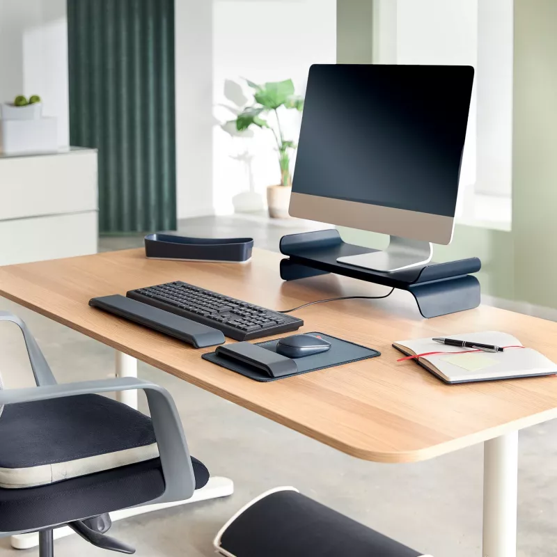 Leitz Ergo reposamuñecas ajustable para teclado, gris oscuro, 71 mm, 437 mm, 22 mm, 1 unidad