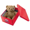 Leitz Caja de almacenamiento Click & Store WOW Cube Large, caja de almacenamiento, rojo, rectangular, cartón, monocromático, interior
