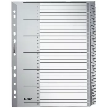 Leitz 12810000 índice de pestañas numérico de cartón gris