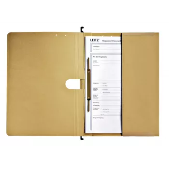 Leitz ALPHA carpeta colgante cartón A4 marrón