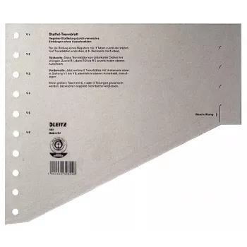 Leitz 16510085 Separadores de índice en blanco cartón gris