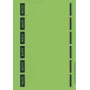 Leitz 16862055 Etiqueta autoadhesiva rectangular verde 150 uds.