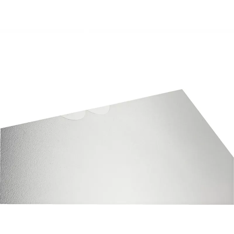 Leitz 47200003 funda transparente A4 polipropileno (PP)
