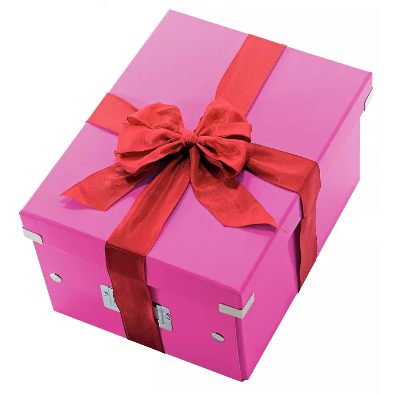 Leitz Click & Store WOW caja de almacenamiento mediana, rosa, cartón, 16,7 L, 281 mm, 200 mm, 265 x 335 x 188 mm