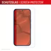 Protector de pantalla de cristal templado con funda para Google Pixel 10 de e.v.i. (DISPLEX cristal real + funda)