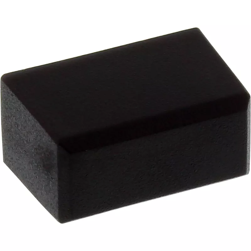 InLine Tapa antipolvo para conector macho DisplayPort, negro, 50 uds.