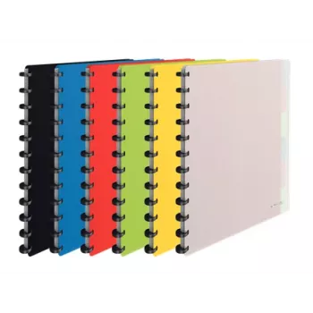Carpeta de anillas Esselte 624014 A4 varios colores