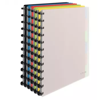 Carpeta de anillas Esselte 624014 A4 varios colores