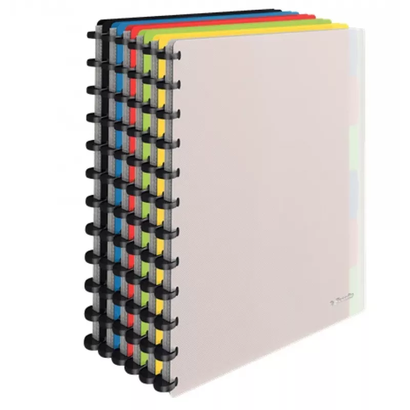 Carpeta de anillas Esselte 624014 A4 varios colores
