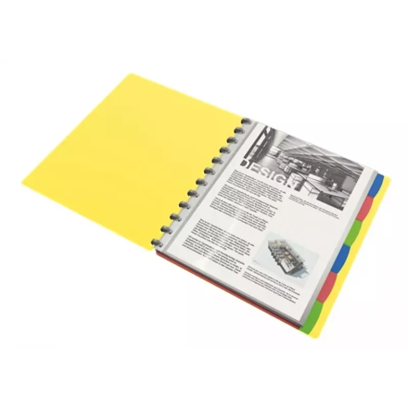 Carpeta de anillas Esselte 624014 A4 varios colores