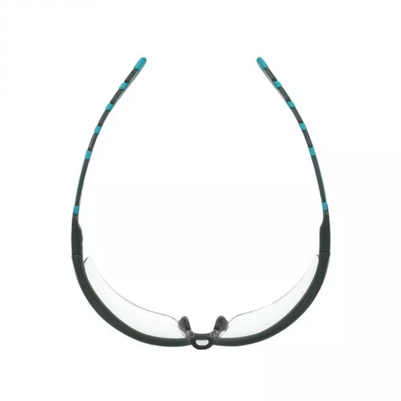 3M S2001SGAF-BGR Gafas de seguridad Gafas protectoras Plástico Azul, Gris