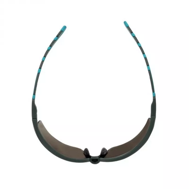 3M S2002SGAF-BGR Gafas de seguridad Gafas protectoras Plástico Azul, Gris