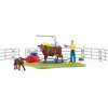 Granja Schleich FARM WORLD Happy Cow Wash