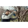 Bosch Pro Pruner Professional tijeras de jardín a batería 2,5 cm 12 V litio-ion negro, azul