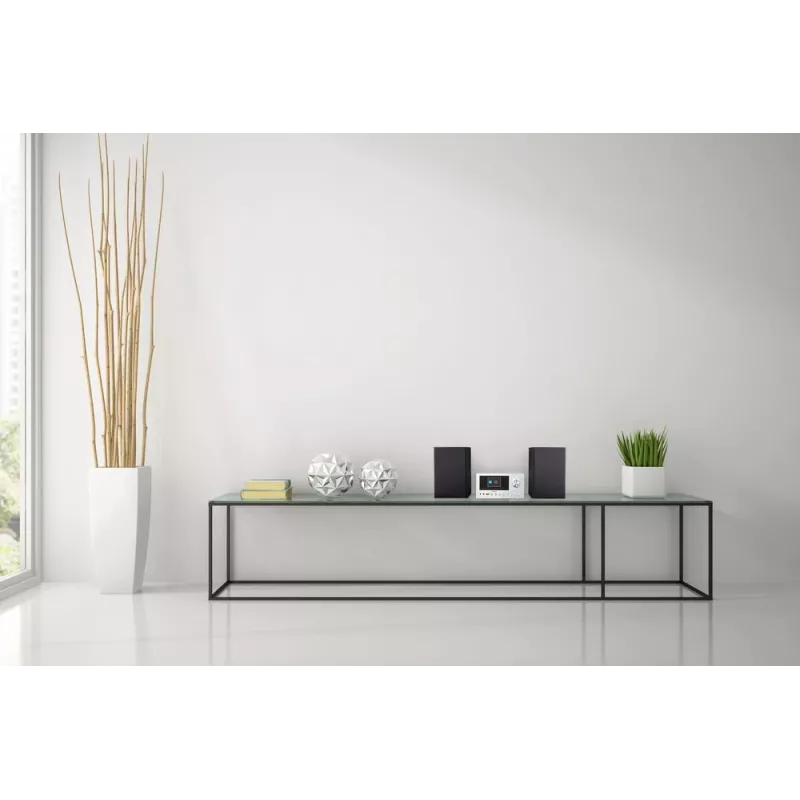 MEDION LIFE P85003 microcadena de audio doméstico 30 W negro, plata