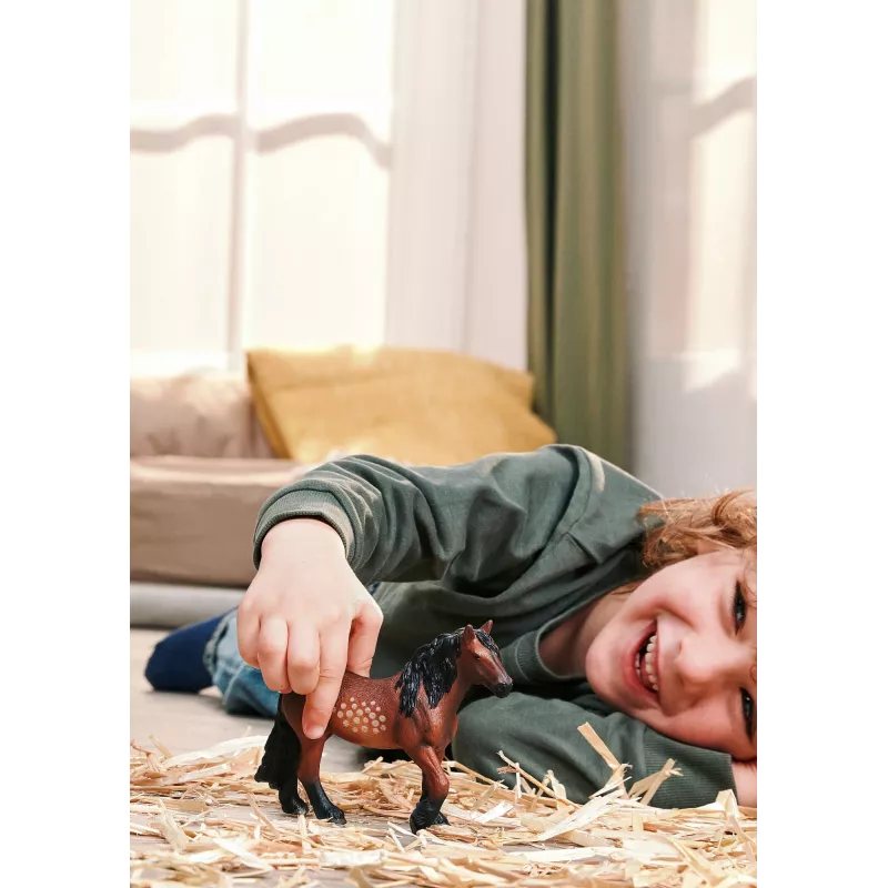 schleich FARM WORLD 14927 Figura de juego para niños
