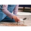 schleich BAYALA 14916 Figura de juego para niños
