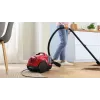 Bosch BGS21CAR aspirador 2 L aspirador de escoba en seco 750 W sin bolsa