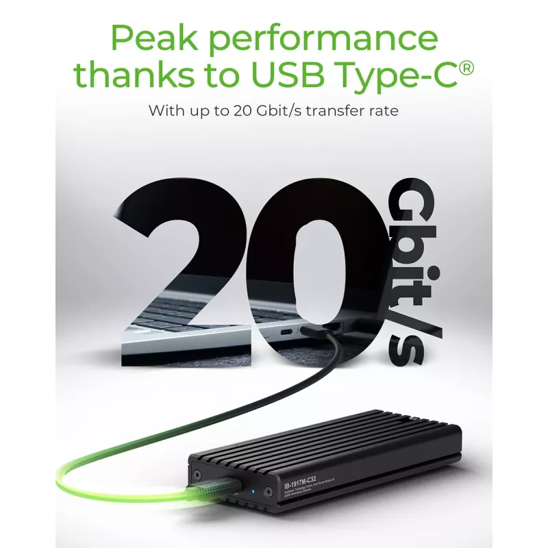 ICY BOX IB-1917M-C32 carcasa para SSD negra M.2 alimentada por USB