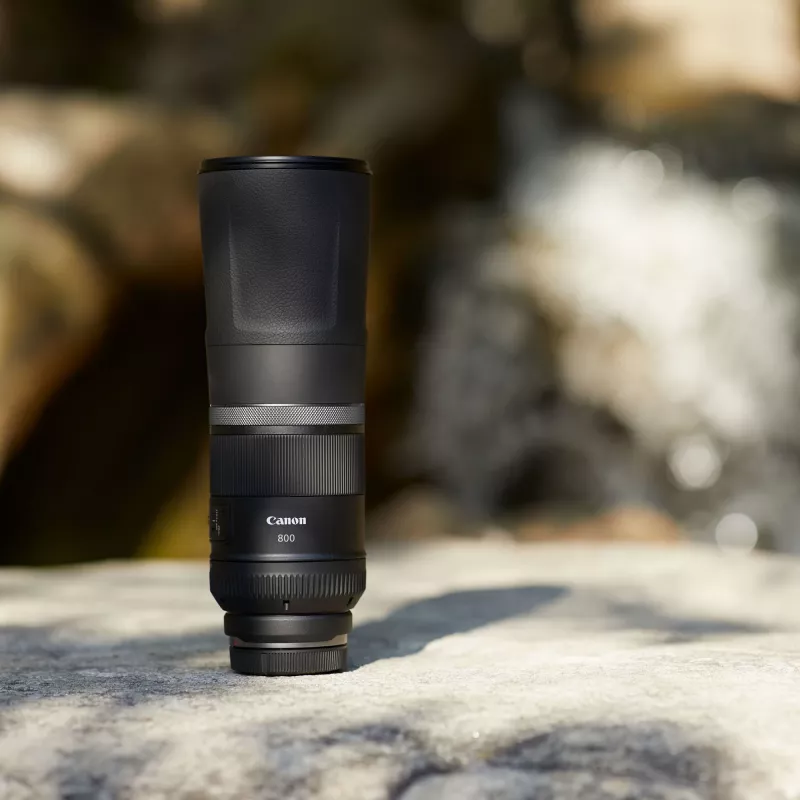 Canon RF 800mm F11 IS STM Objetivo, Teleobjetivo, 11/8, Canon RF