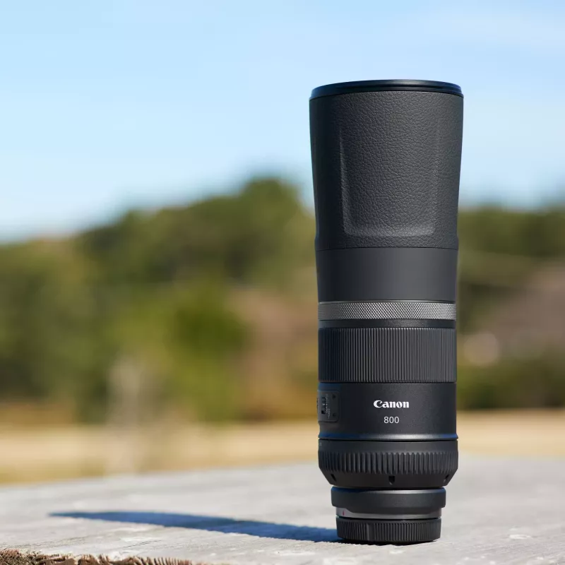 Canon RF 800mm F11 IS STM Objetivo, Teleobjetivo, 11/8, Canon RF