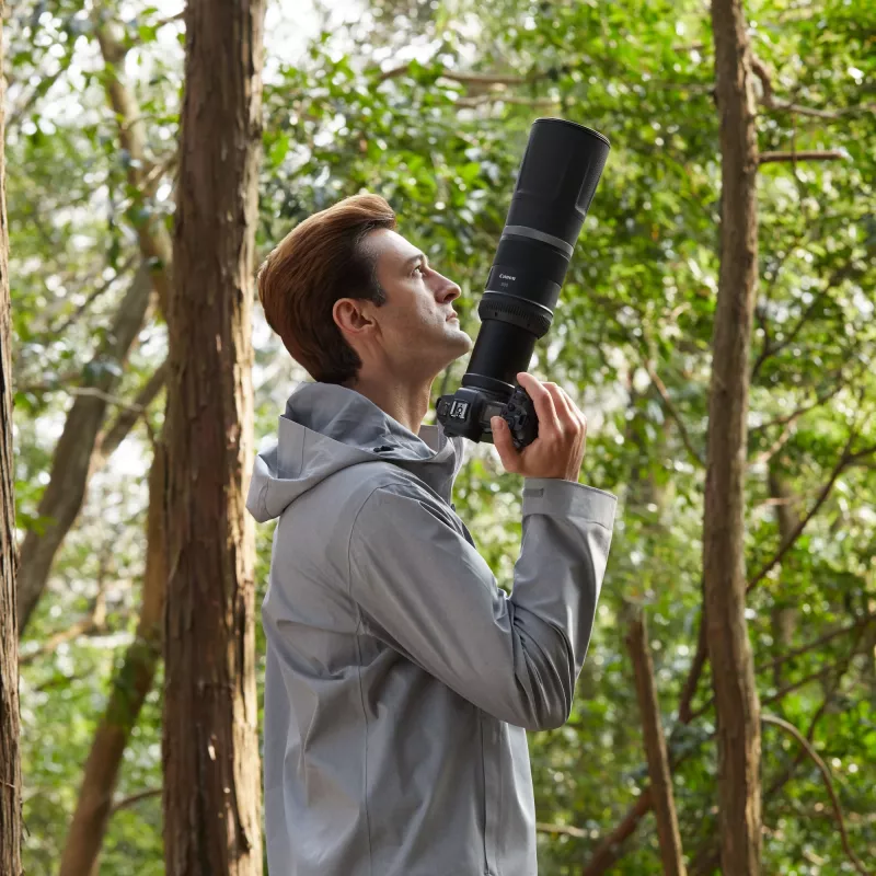 Canon RF 800mm F11 IS STM Objetivo, Teleobjetivo, 11/8, Canon RF