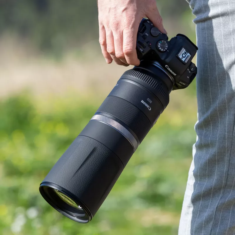 Canon RF 800mm F11 IS STM Objetivo, Teleobjetivo, 11/8, Canon RF