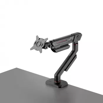 ASUS AAS01R 124,5 cm (49