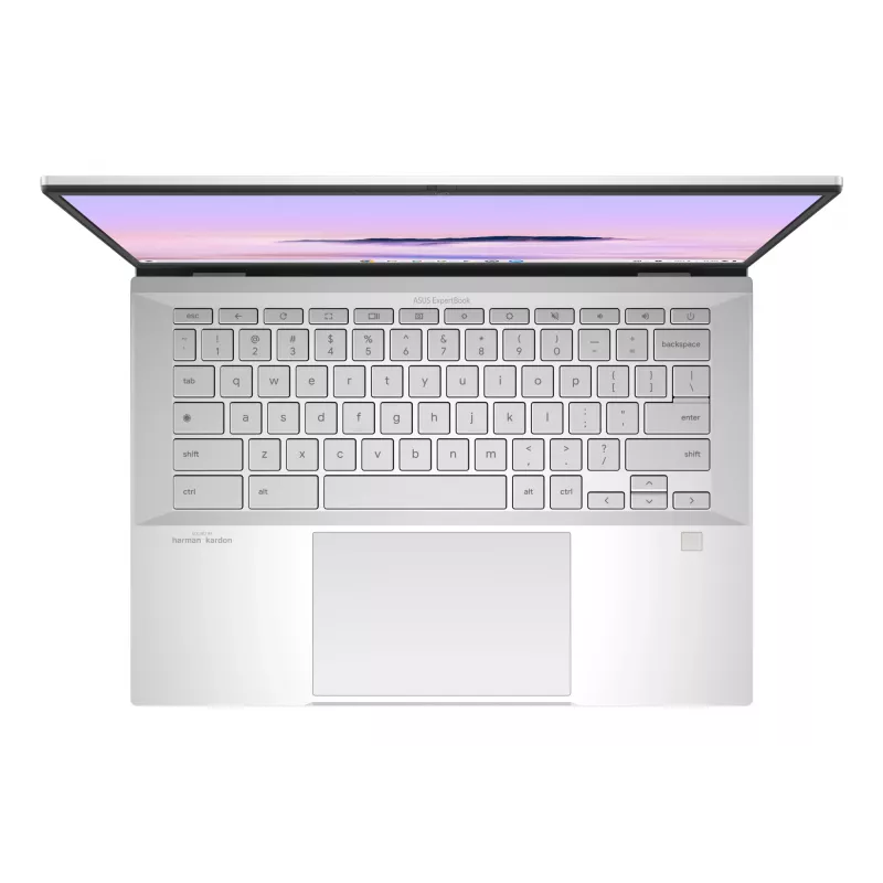ASUS Chromebook Plus Enterprise CB54 CB5403CMA-QM0916 Intel Core Ultra 7 35,6 cm (14 inch) Pantalla táctil WQXGA 16 GB LPDDR5x-SDRAM 256 GB SSD Wi-Fi 6E (802.11ax) ChromeOS US International Plata