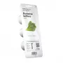 Sistema de cultivo EMSA Click & Grow Lechuga