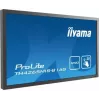 Monitor de ordenador IIYAMA ProLite TH4265MIS-B1AG, 42