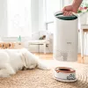 Filtro de carbón de repuesto Leitz para filtro para mascotas pequeño TruSens Z-1000, 1 ud.