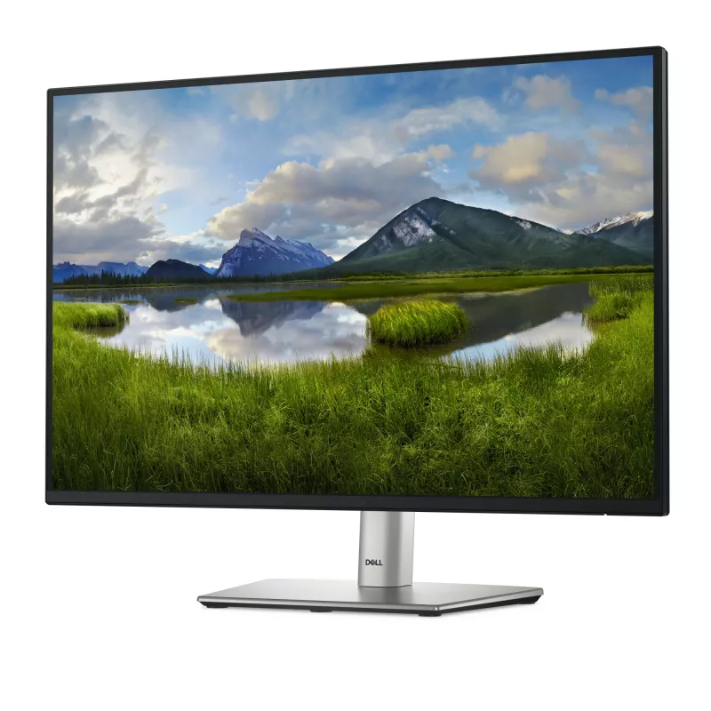 DELL Pro Plus P2425 Monitor de ordenador 61,1 cm (24,1 inch) 1920 x 1200 píxeles WUXGA LCD negro