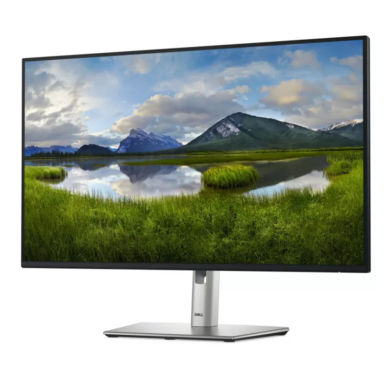DELL Pro Plus P2725H Monitor de ordenador 68,6 cm (27 inch) 1920 x 1080 píxeles Full HD LCD negro