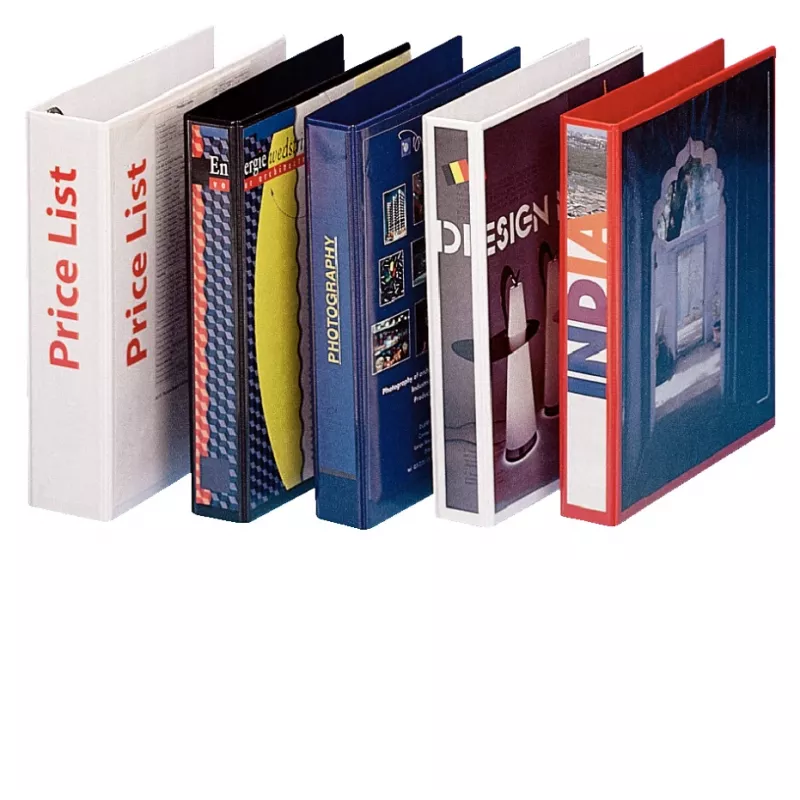Esselte Panorama carpeta FSC® A4 4DR/25 mm, A4, anilla D, plástico, blanco, 240 hojas, 2,5 cm