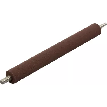 Ricoh AE010054 Pieza/accesorio para impresora/escáner Rodillo 1 ud.