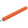 Ricoh AE010059 Pieza/accesorio de repuesto para impresora/escáner rodillo 1 ud.