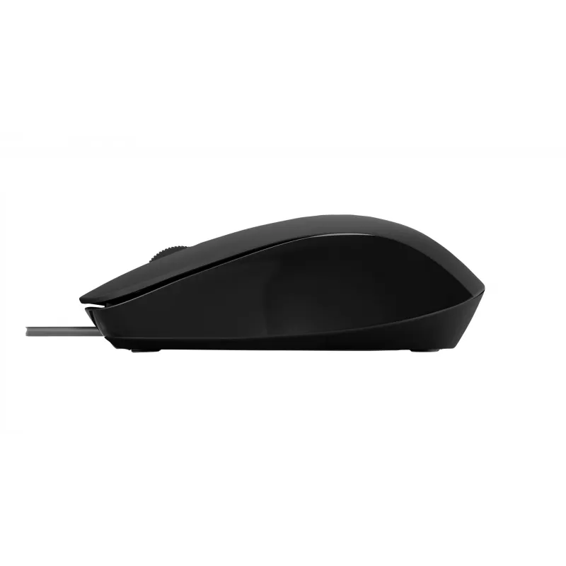 Ratón HP 150 con cable USB Type-A