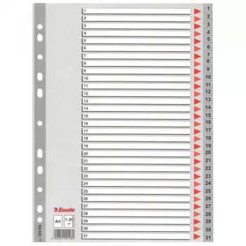 Esselte índice 1-31 PP A4 gris, registro numérico, polipropileno (PP), A4, 225 mm, 297 mm, 1 ud.