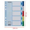 Pestañas de registro ESSELTE 5 piezas A5 polipropileno de colores, para archivar e indexar