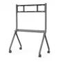 MAXHUB ST33M soporte móvil, gris, soporte multimedia, 100 kg, 139,7 cm (55