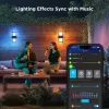 Lámpara de pared exterior Govee H7078CD1 Smart RGB cambio de color, control por WLAN/app