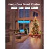 Cadena de luces navideñas LED Govee 20 m, iluminación decorativa para interior y exterior