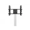 Soporte de suelo para pantalla única MULTIBRACKETS M Public — negro, soporta hasta 60 kg, VESA 200x200–800x400