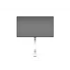 Brazo con elevación por gas Multibrackets M VESA Gas Lift Arm Single blanco
