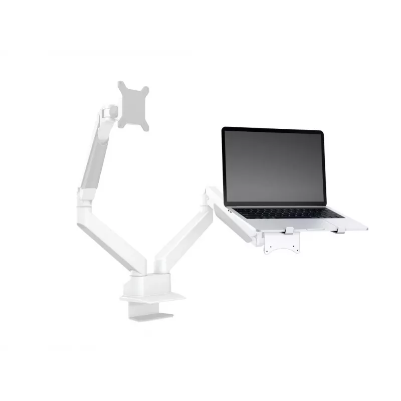 Soporte para portátil Multibrackets M brazo con elevación por gas plata