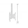 Soporte de techo Multibrackets M Public Small Single Blanco 1500 14 kg 10-32