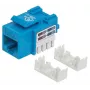 Intellinet Conector hembra Keystone, Cat6, UTP, LSA, azul, plano, azul, RJ-45, conector hembra, 22/26, Cat6