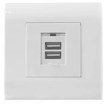 Intellinet Toma de pared USB-A de 2 puertos con tapa, dos puertos de carga con tapa de seguridad, salida 5 V / 2,1 A, tapa europea de 80 x 80